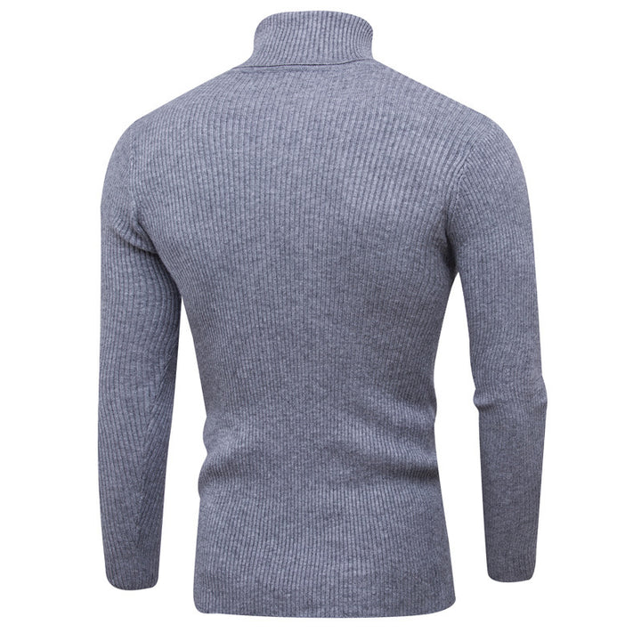 Herren Rollkragenpullover aus feinem Rippstrick Aliams