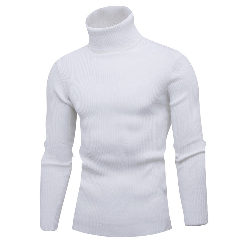 Herren Rollkragenpullover aus feinem Rippstrick Aliams