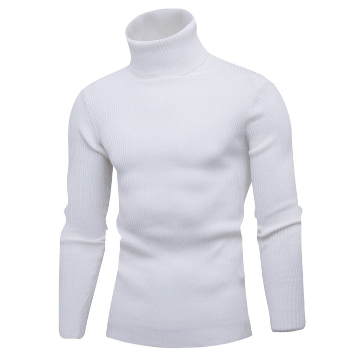 Herren Rollkragenpullover aus feinem Rippstrick Aliams