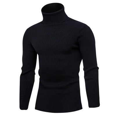 Herren Rollkragenpullover aus feinem Rippstrick Aliams