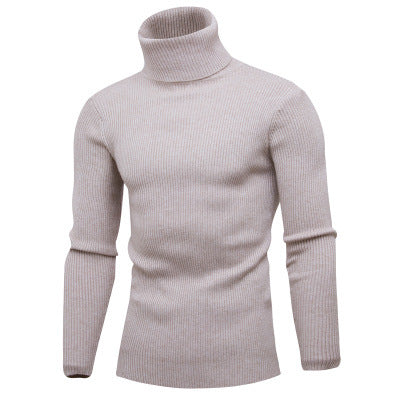 Herren Rollkragenpullover aus feinem Rippstrick Aliams