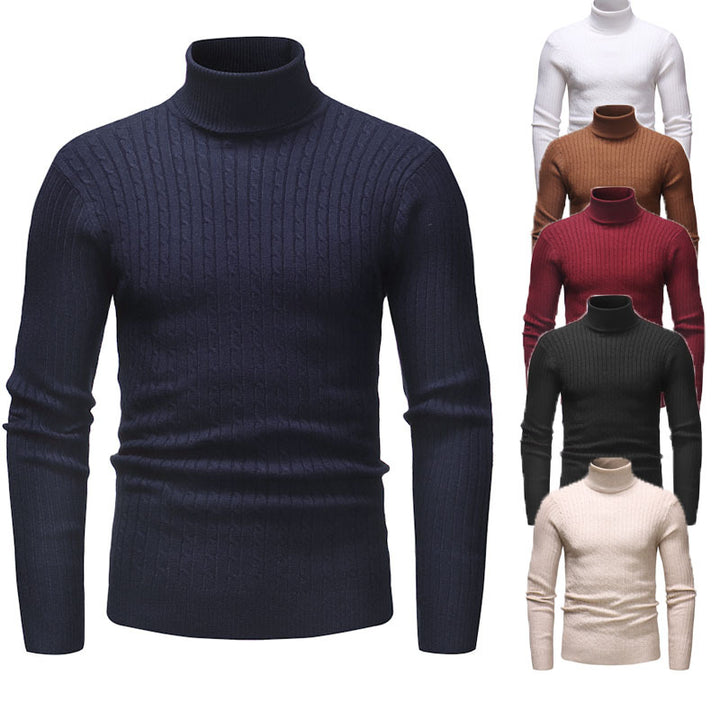 Herren Rollkragenpullover mit strukturiertem Zopfmuster Aliams