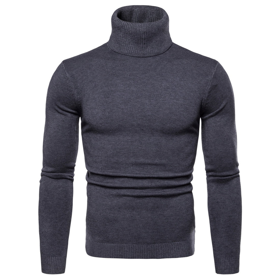 Herren Rollkragenpullover aus weichem Strick Aliams