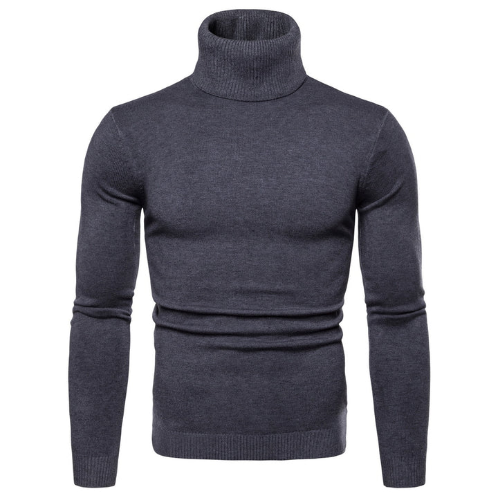 Herren Rollkragenpullover aus weichem Strick Aliams
