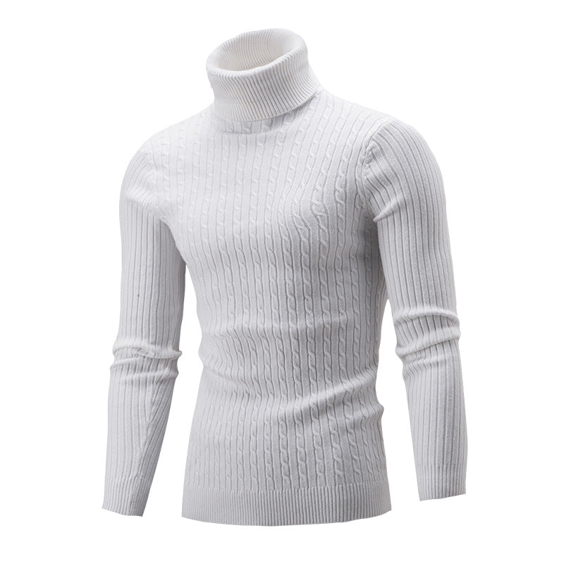 Herren Rollkragenpullover aus hochwertiger Strickware mit strukturiertem Design Aliams