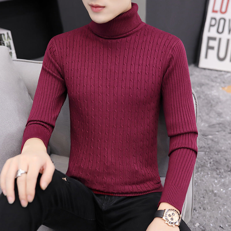 Herren Rollkragenpullover im stilvollen Rippstrickdesign Aliams