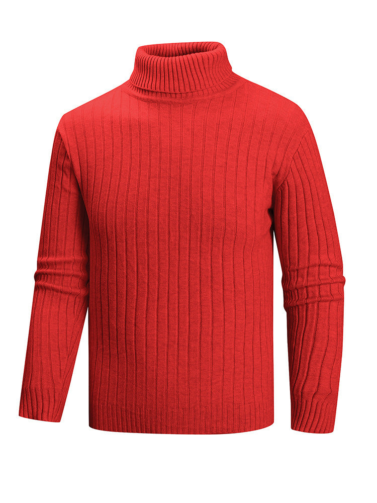 Herren Rollkragenpullover aus hochwertigem Feinstrick Aliams