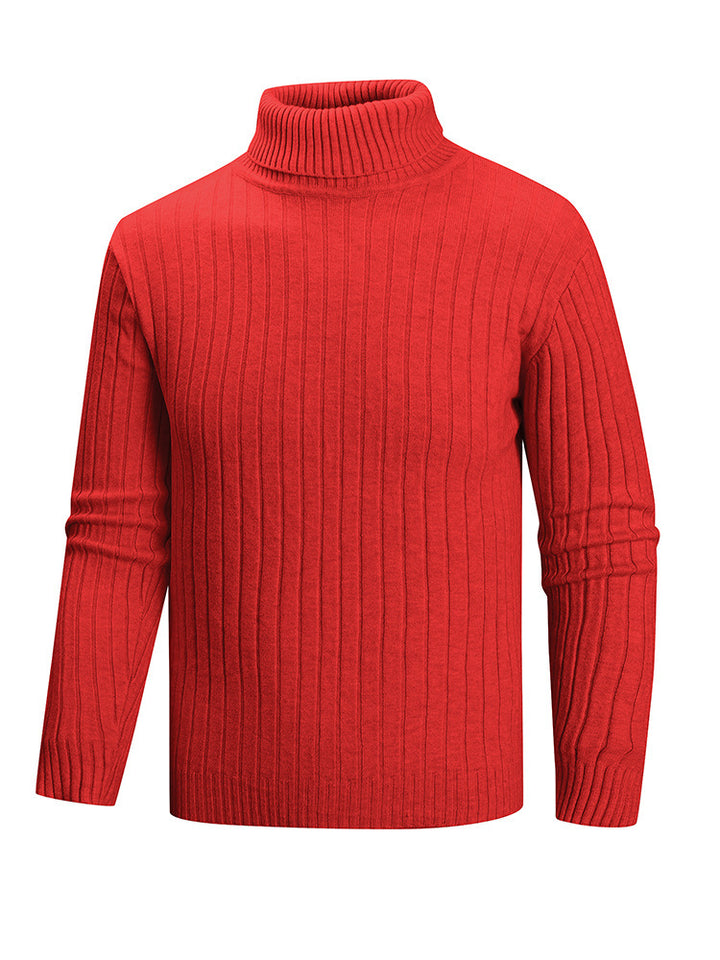 Herren Rollkragenpullover aus hochwertigem Feinstrick Aliams