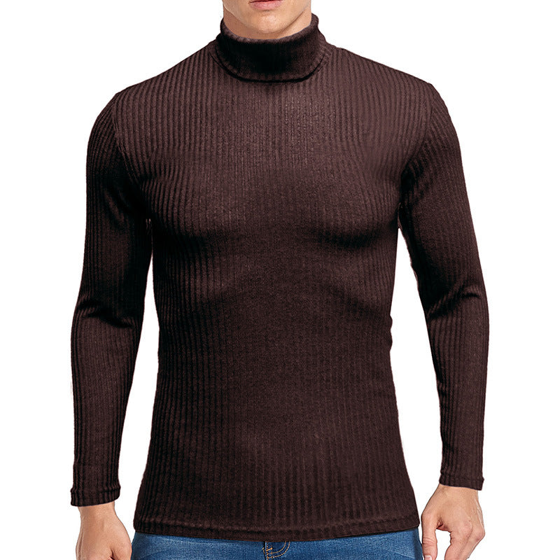 Herren Rollkragenpullover im strukturierten Design Aliams