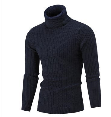 Herren stilvoller Rollkragenpullover mit Zopfmuster Aliams