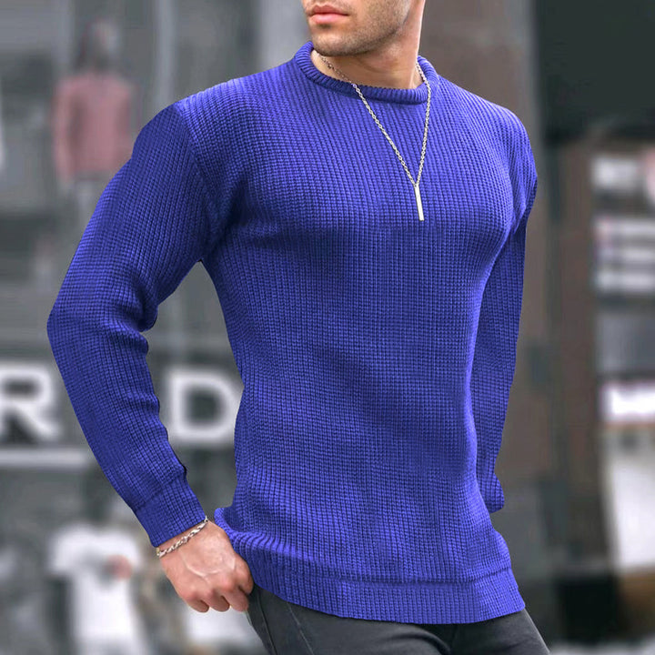 Herren Strickpullover mit strukturiertem Muster Aliams