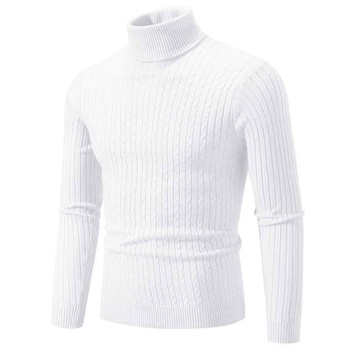 Herren Rollkragenpullover aus komfortabler Strickqualität Aliams