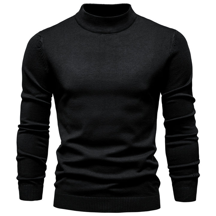 Herren Rollkragenpullover aus weichem Strickmaterial mit feiner Rippstruktur Aliams
