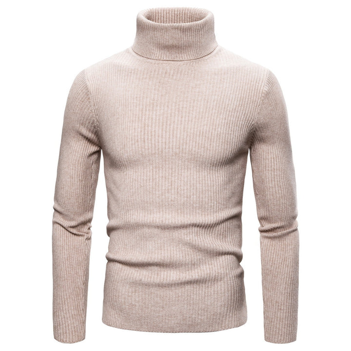 Herren Rollkragenpullover aus weichem Strick mit Rippstruktur Aliams