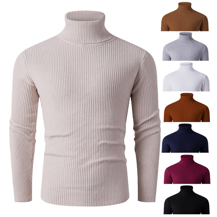 Herren eleganter Rollkragenpullover aus strukturiertem Strickmaterial Aliams