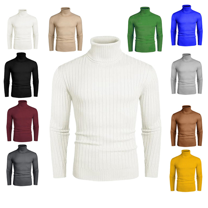 Herren eleganter Rollkragenpullover aus feinem Rippenstrick Aliams
