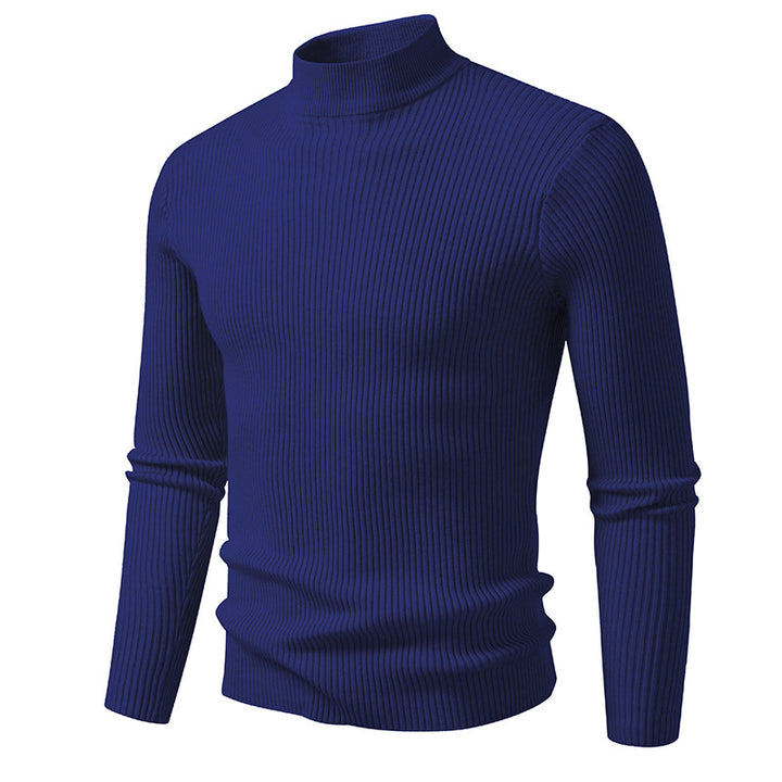 Herren Rollkragenpullover aus strukturiertem Strickmaterial Aliams