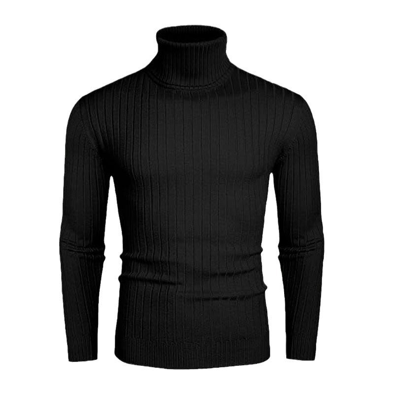 Herren Rollkragenpullover aus hochwertigem Rippstrick Aliams