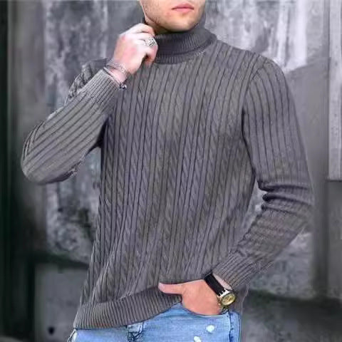 Herren Rollkragenpullover aus komfortabler Strickqualität Aliams