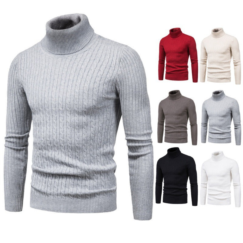 Herren Rollkragenpullover mit Zopfmuster Aliams