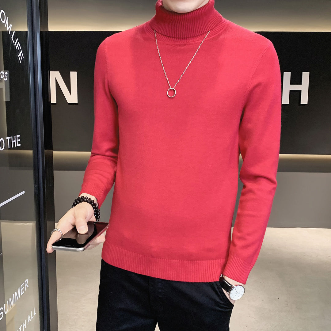 Herren Pullover mit hohem Kragen aus weicher Strickware Aliams