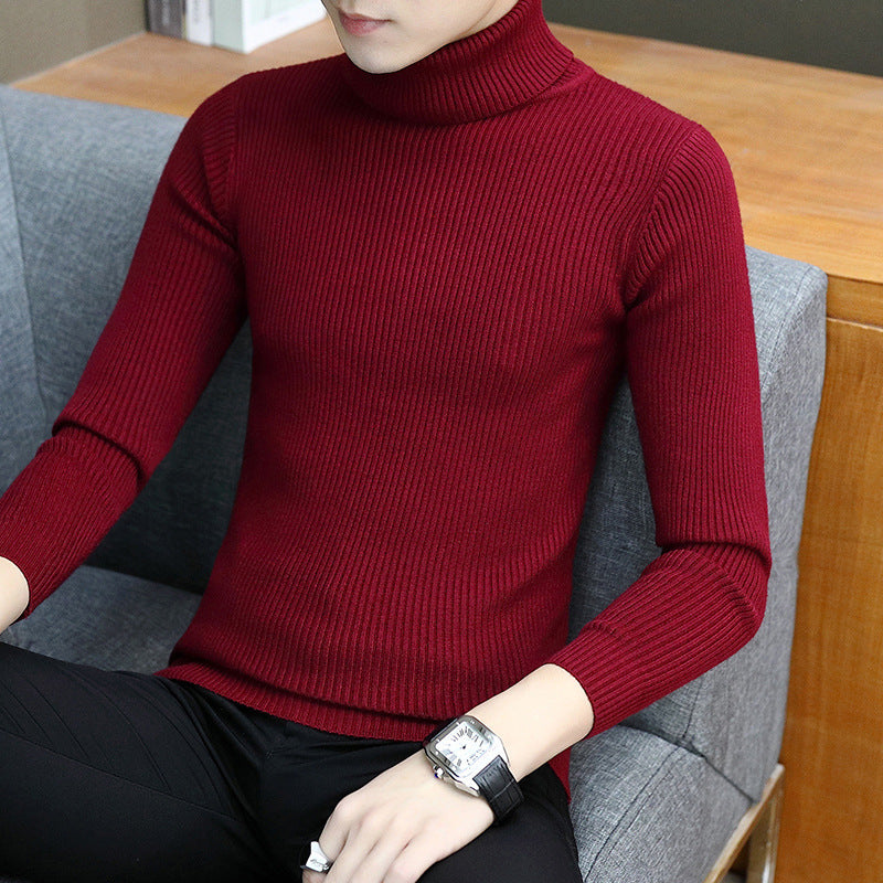 Herren Eleganter Rippstrick Rollkragenpullover Aliams