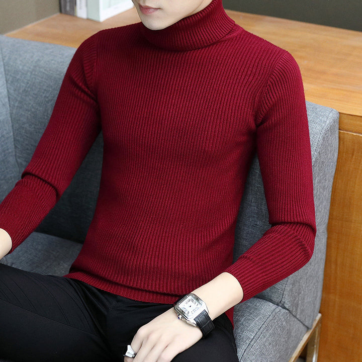 Herren Eleganter Rippstrick Rollkragenpullover Aliams