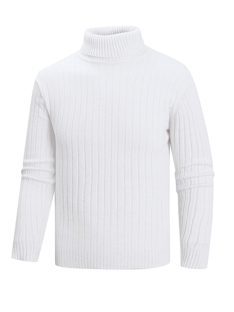 Herren Rollkragenpullover aus hochwertigem Feinstrick Aliams