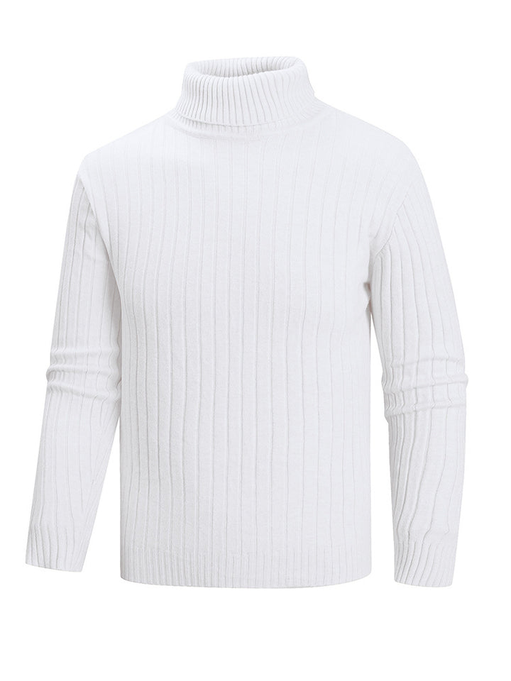 Herren Rollkragenpullover aus hochwertigem Feinstrick Aliams