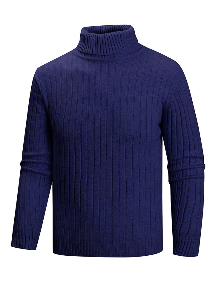 Herren Rollkragenpullover aus hochwertigem Feinstrick Aliams
