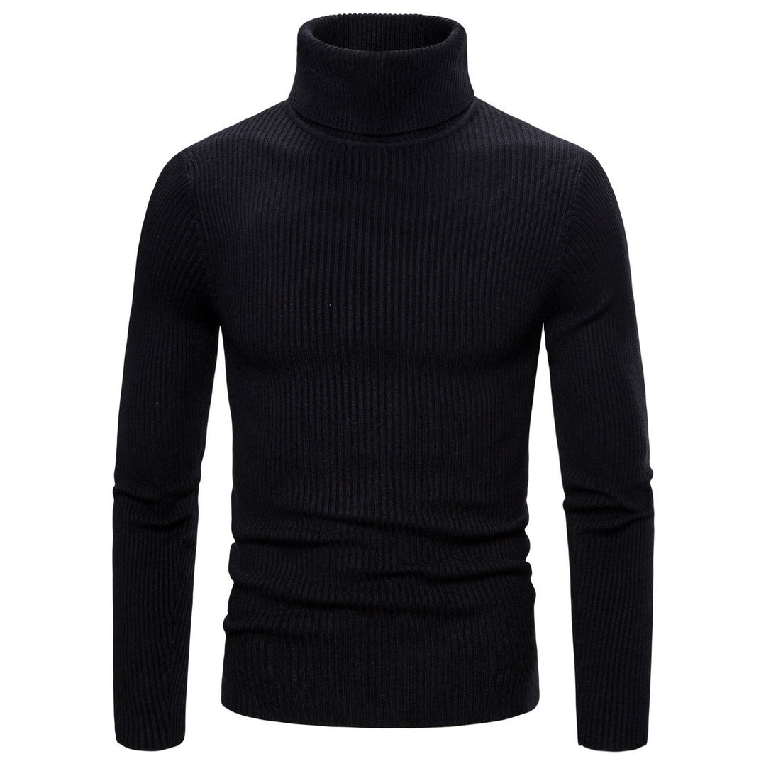 Herren Stehkragen Pullover aus feiner Rippenstrick Aliams