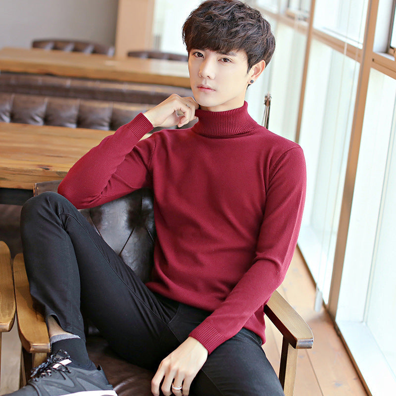 Herren Eleganter Rollkragenpullover aus feinem Strick Aliams