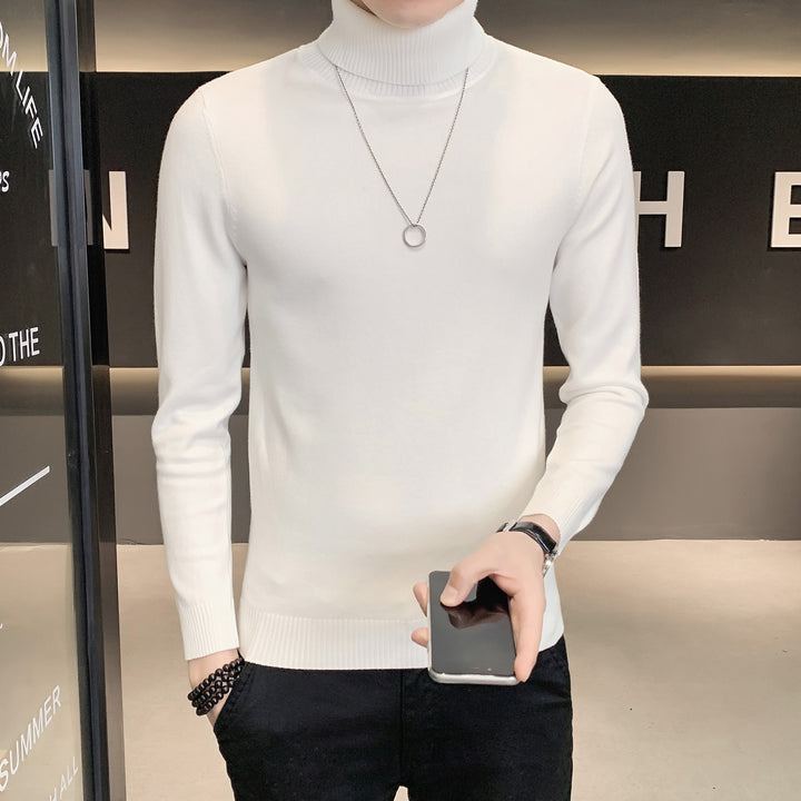 Herren Pullover mit hohem Kragen aus weicher Strickware Aliams