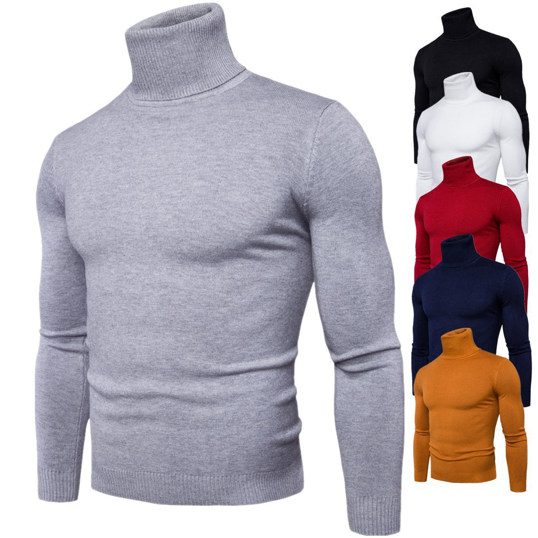 Herren Rollkragenpullover aus weichem Strick Aliams