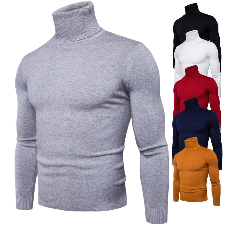 Herren Rollkragenpullover aus weichem Strick Aliams