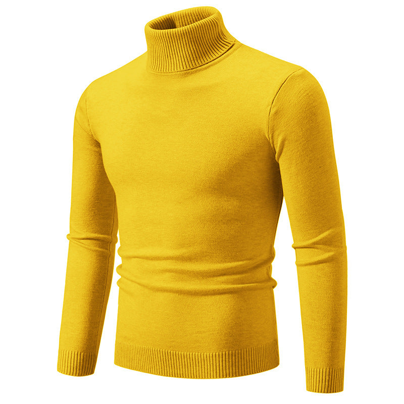 Herren eleganter Rollkragenpullover aus feiner Baumwolle Aliams
