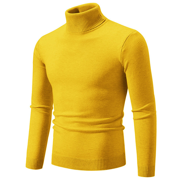 Herren eleganter Rollkragenpullover aus feiner Baumwolle Aliams