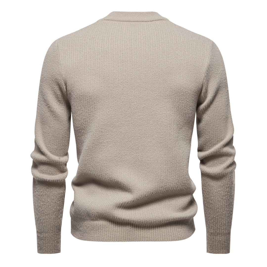 Herren hochwertiger Rollkragenpullover mit strukturiertem Design Aliams