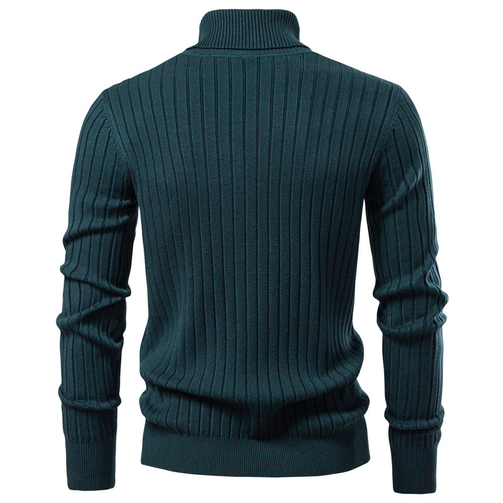 Herren Rollkragenpullover mit feinem Rippstrukturdesign Aliams