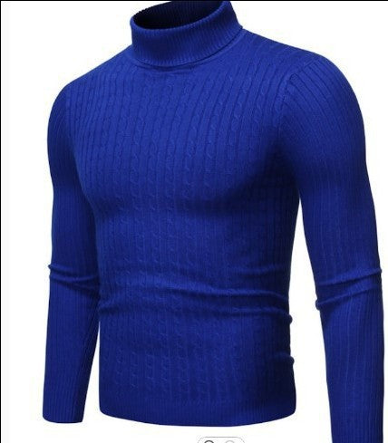 Herren Hochwertiger Rollkragenpullover mit feiner Struktur Aliams