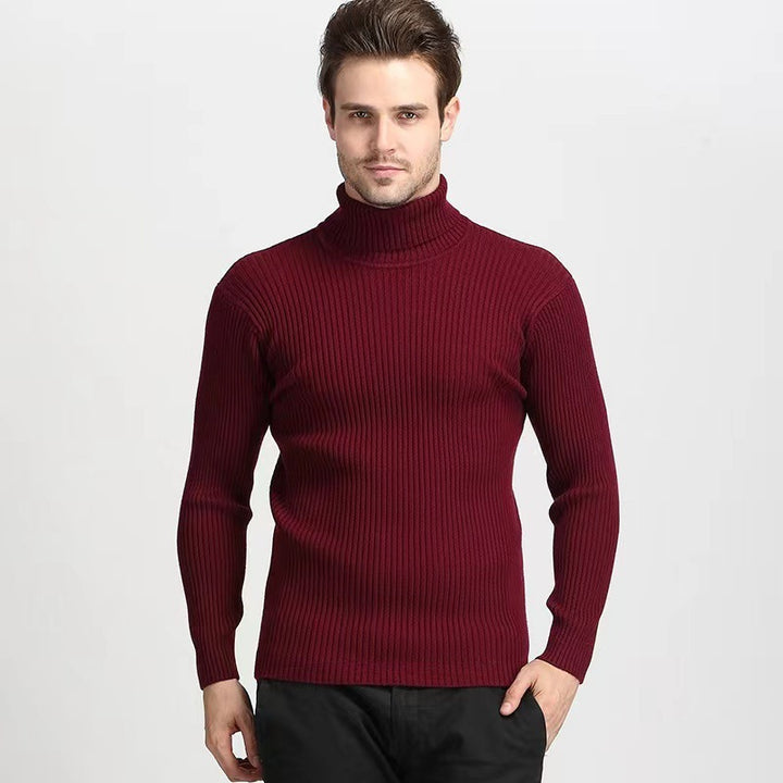 Herren Rollkragenpullover mit feiner Rippenstruktur und hohem Tragekomfort Aliams