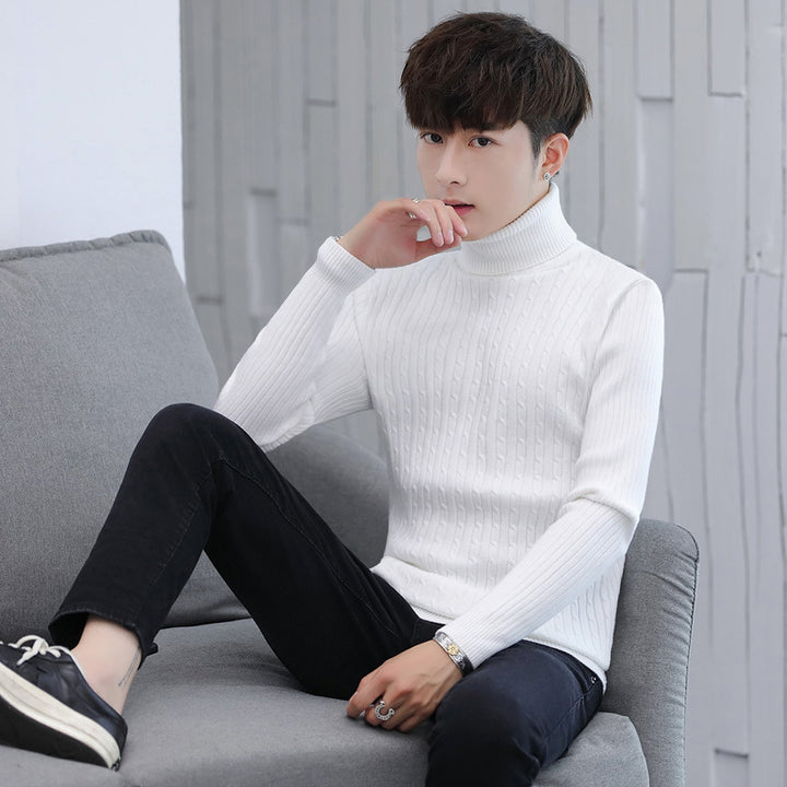 Herren Eleganter Rollkragenpullover mit Rippmuster Aliams