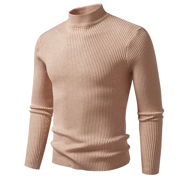 Herren Rollkragenpullover aus strukturiertem Strickmaterial Aliams