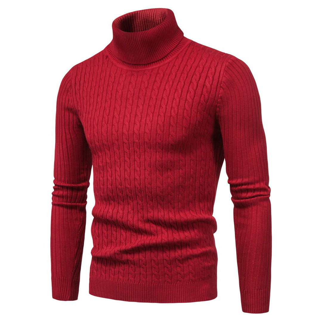 Herren komfortabler Rollkragenpullover Aliams