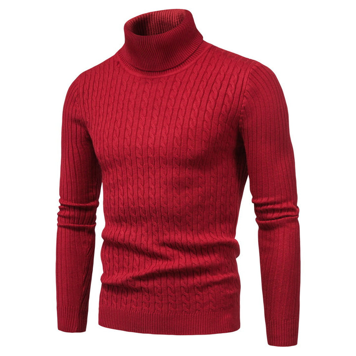 Herren komfortabler Rollkragenpullover Aliams