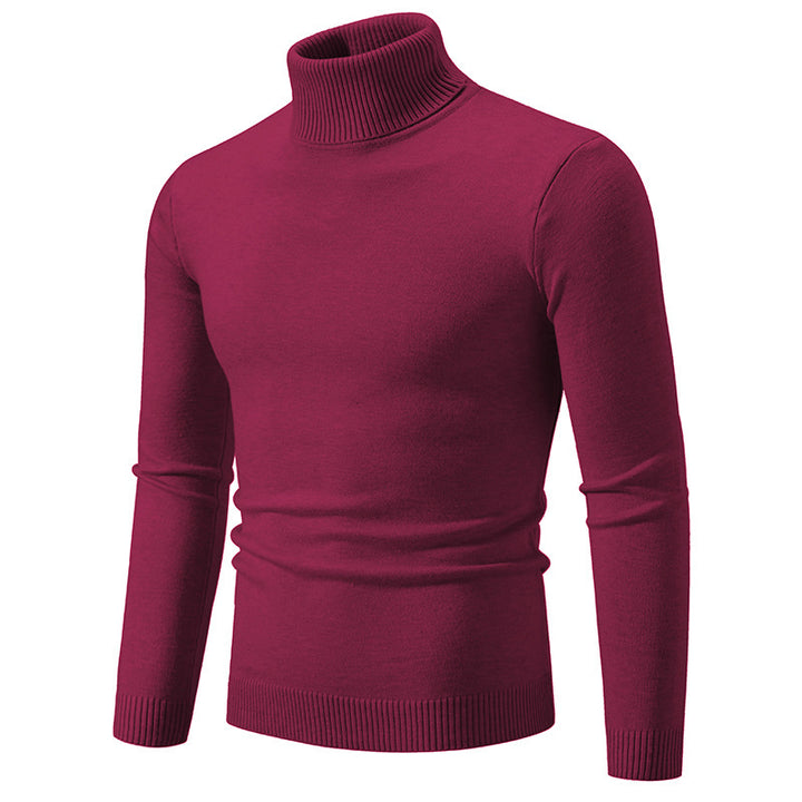 Herren eleganter Rollkragenpullover aus feiner Baumwolle Aliams