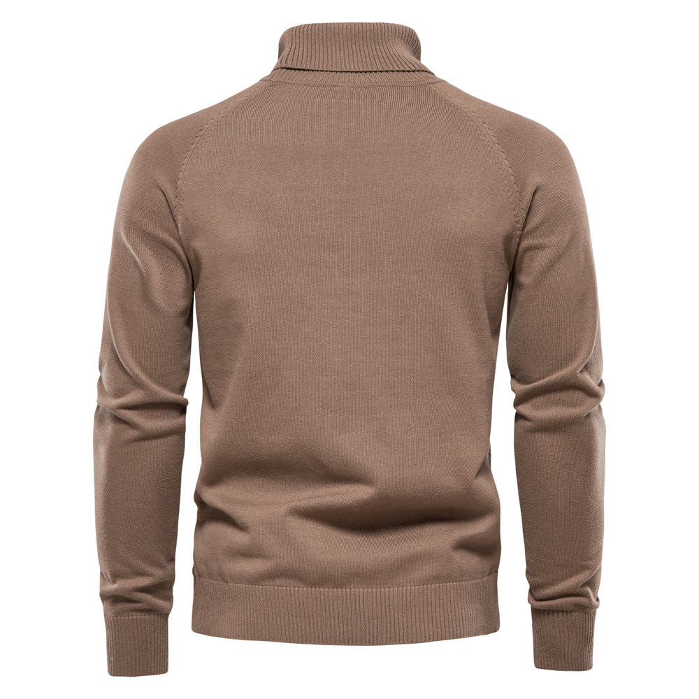 Herren Rollkragenpullover mit strukturiertem Muster Aliams