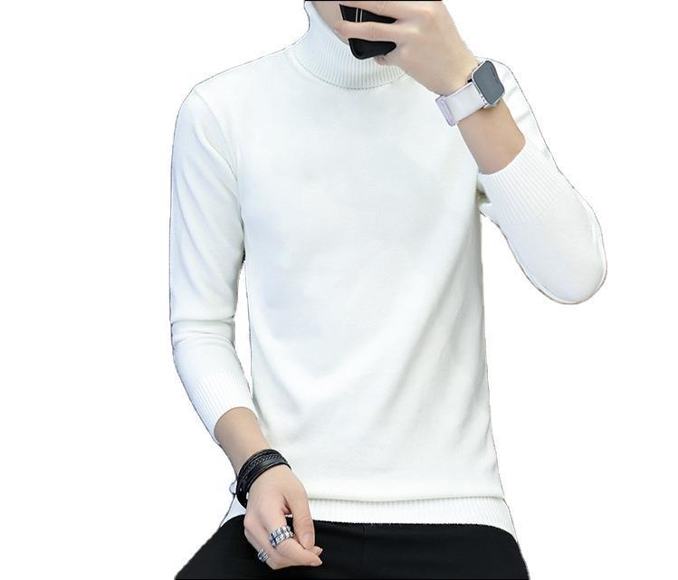 Herren Rollkragenpullover aus feinem Strick Aliams