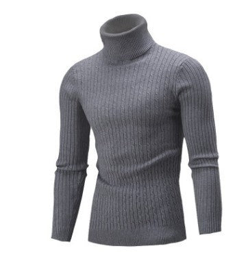 Herren Hochwertiger Rollkragenpullover mit feiner Struktur Aliams