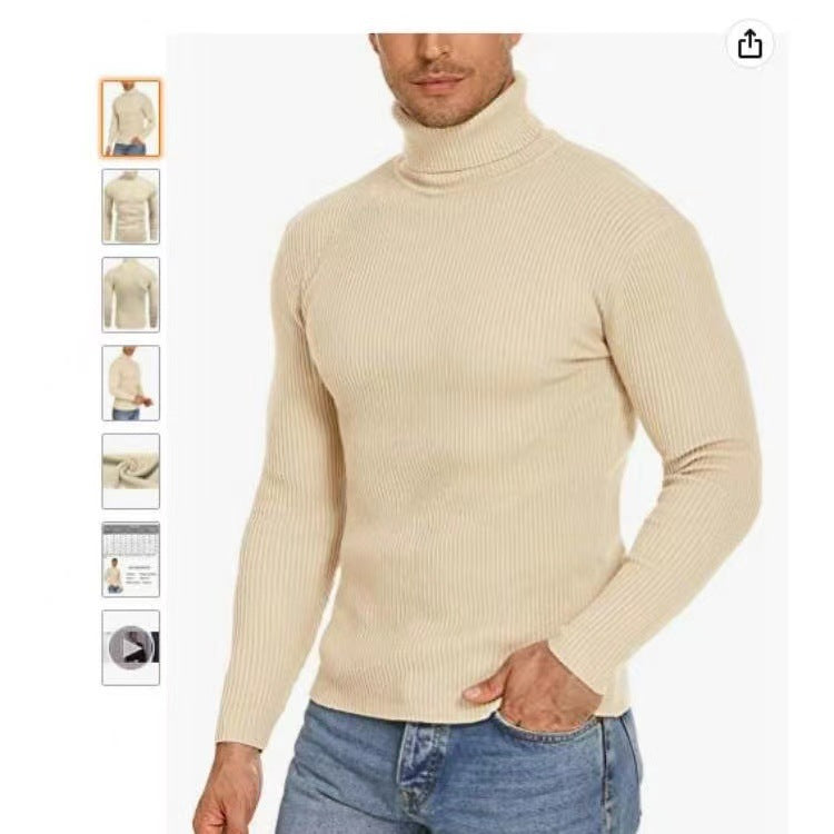 Herren Stehkragen Pullover aus ribbeltem Strick Aliams